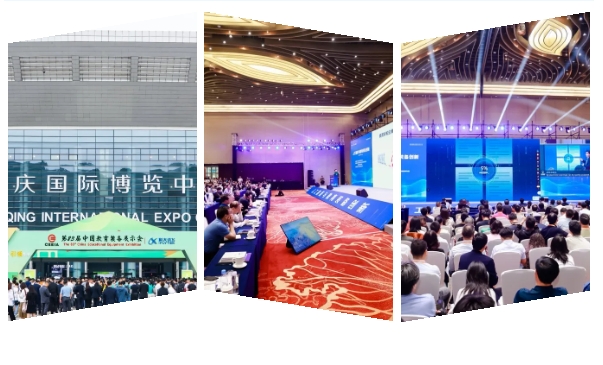 草莓视频APP色版下载服飾集團共商未來·共促發展.png
